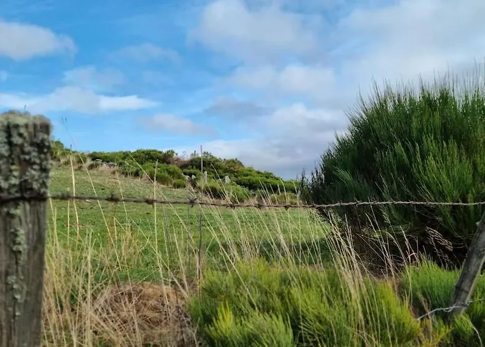 La Maison Saint-amour