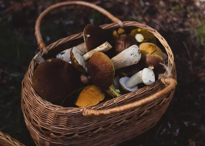 Villa La Maison Saint-amour